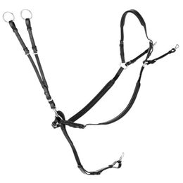 Martingal mit Ringen Covalliero – Bild 1 von 6