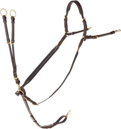 Produktbild von Martingal mit Ringen Covalliero