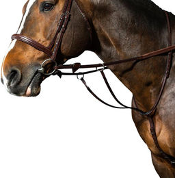 Produktbild von Martingal mit Ringen Dy'on New English Collection