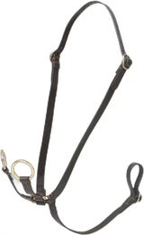 Martingal mit Ringen für Hobby Horse LeMieux – Bild 1 von 2