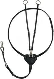 Produktbild von Martingal mit Ringen Horze Winchmore