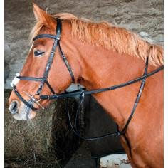 Produktbild von Martingal mit Ringen T de T 04