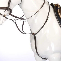 Martingal mit Ringen und Verschlüssen Kavalkade Ecoline – Bild 1 von 5