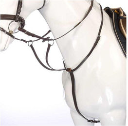 Martingal mit Ringen und Verschlüssen Kavalkade Ecoline – Bild 1 von 5