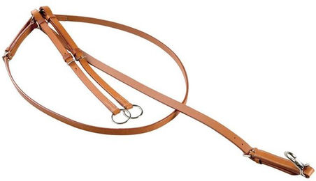 Produktbild von Martingale mit Ringen und 2 Halsbändern Pool's