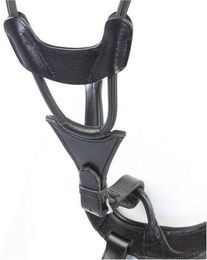 Martingalgabel mit Gummiband Kavalkade – Bild 1 von 2