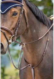 Produktbild von Martingalpfeil HFI