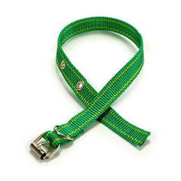 Produktbild von Mascow Hundehalsband Mehrfarbig - 12 x 1 Stk.