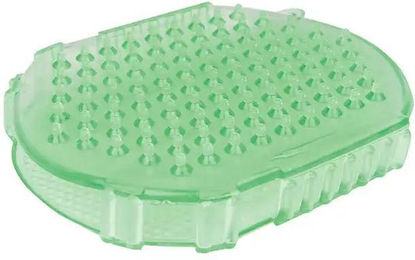 Produktbild von Massagehandschuh für Pferde Roma Brights