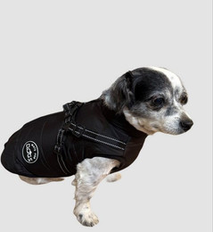 Produktbild von Mate for dogs Hundemantel Laika mit Brustgeschirr