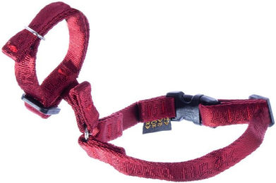 Produktbild von Maulkorb für Hunde Martin Sellier