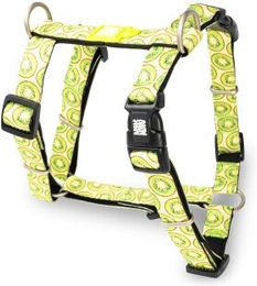 Max & Molly H-Geschirr - Kiwi S – Bild 1 von 7