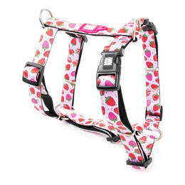 Produktbild von Max & Molly H-Geschirr - Strawberry Dream M