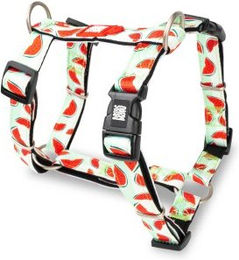 Max & Molly H-Geschirr - Watermelon M – Bild 1 von 5