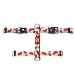 Max & Molly H-Geschirr - Watermelon S – Bild 1 von 6