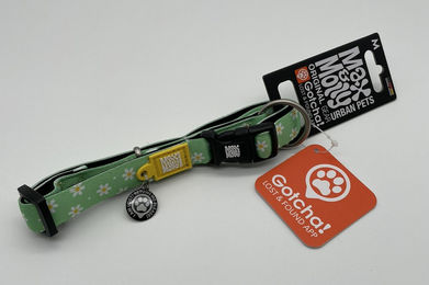 Max & Molly Halsband - Margarite M – Bild 1 von 3