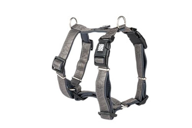 Produktbild von Max & Molly Komfort H-Geschirr - Matrix 2.0 Stone XS