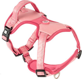 Produktbild von Max & Molly Sportgeschirr Matrix 2.0 Rose Größe S