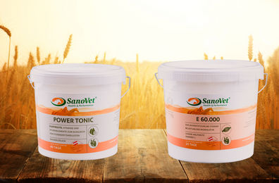 Produktbild von Maxi-Kombi