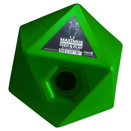 Produktbild von Maximus Feed & Play Snackwürfel grün