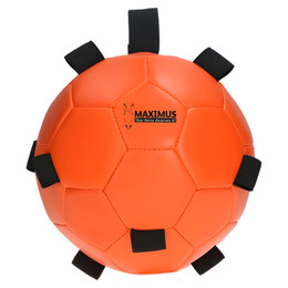 Produktbild von Maximus Fun Play Ball mit Schlaufe
