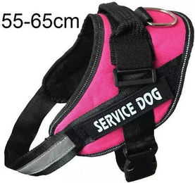 Produktbild von MC Star Hunde-Geschirr verstellbar