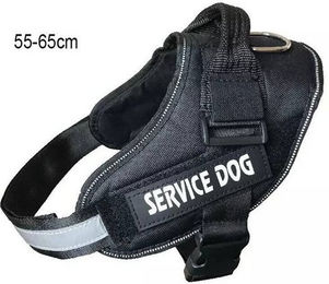 Produktbild von MC Star Hunde-Geschirr verstellbar