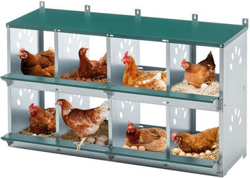 MC Star Nistkasten 8-Fach Hühner-Nistkästen für die Eiablage, Metall-Geflügel-Nistkasten, zum Wandmontieren für Hühner/Hennen, grob belüftete Hühnerstall-Box – Bild 1 von 5