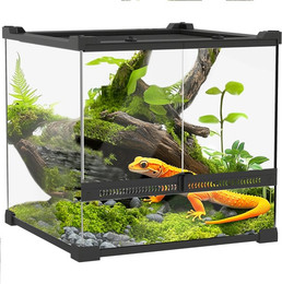 Produktbild von MC Star Terrarium Glas-Terrarium für Reptilien,