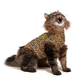 Medical Pet Shirt Katze - Leopard - XS – Bild 1 von 4