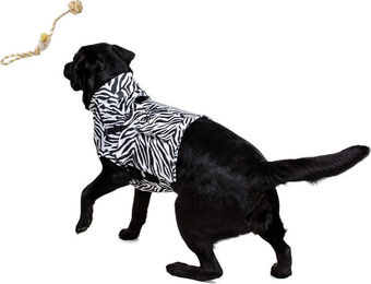 Medical Pet Shirt Top Shirt Zebraprint - L – Bild 1 von 5