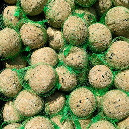 Produktbild von Meisenknödel Premium mit Insekten - 200 x 90 g
