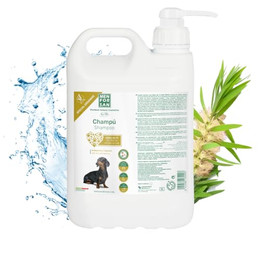 Produktbild von Menforsan Shampoo mit Teebaumöl und Karamell - 5 l
