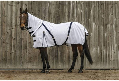 Produktbild von Mesh-Fliegenabdeckung für Pferde Equithème Combo