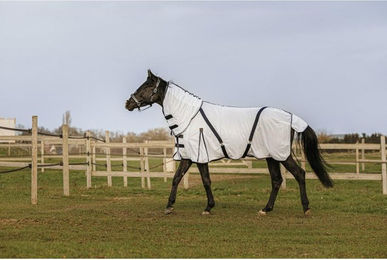 Produktbild von Mesh-Fliegenabdeckung für Pferde Equithème Combo