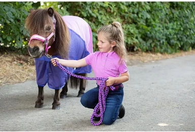 Produktbild von Mesh-Fliegenabdeckung für Pferde Harry's Horse Pro Diva