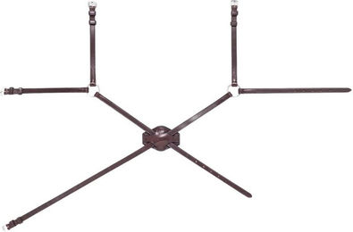 Produktbild von Mexikanisches Reithalfter Equiline