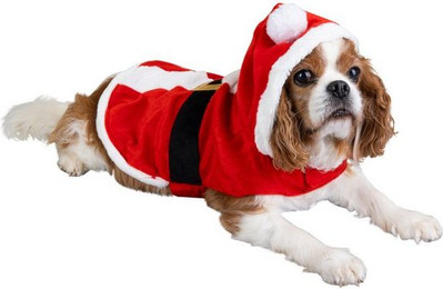 Produktbild von MICA Hundekostüm Nikolaus