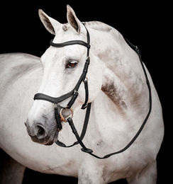 Produktbild von Micklem 2 Competition Bridle