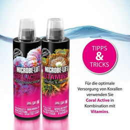Produktbild von Microbe-Lift Coral Active Korallenbooster - 3,785 l