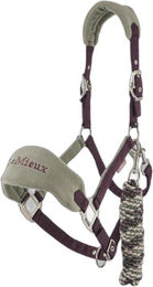 Produktbild von Mini Vogue Halfter und longe für Pferde LeMieux Pop