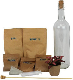 Produktbild von mitienda Terrarium Pflanzenterrarium Kit Amo Naturaleza 30cm
