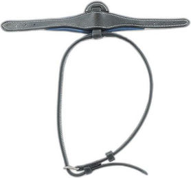 Produktbild von Mitte des unterlegten flachen Nasenriemens Flags&Cup