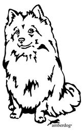 Produktbild von Mittelspitz Grafiklizenz