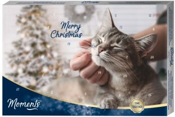 Produktbild von MOMENTS Adventskalender Katze