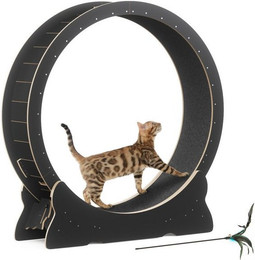 Produktbild von Mondeer Katzenlaufrad aus MDF