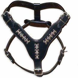 Produktbild von Monkimau Hunde-Geschirr aus Leder gepolstert mit Nieten