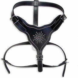 Produktbild von Monkimau Hunde-Geschirr aus Leder mit Nieten