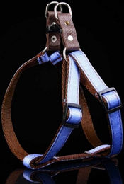 Produktbild von Monkimau Hunde-Geschirr aus Nylon mit Jeansmotiv