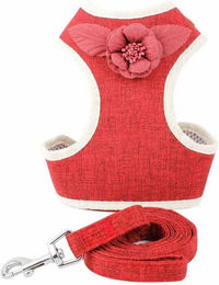 Produktbild von Monkimau Hunde-Geschirr für Hund und Katze in Rot S